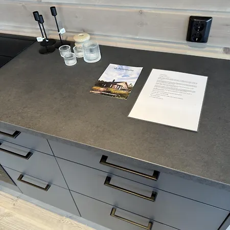 Brand-new For Rent At Lemonsjoen And Close To Besseggen *